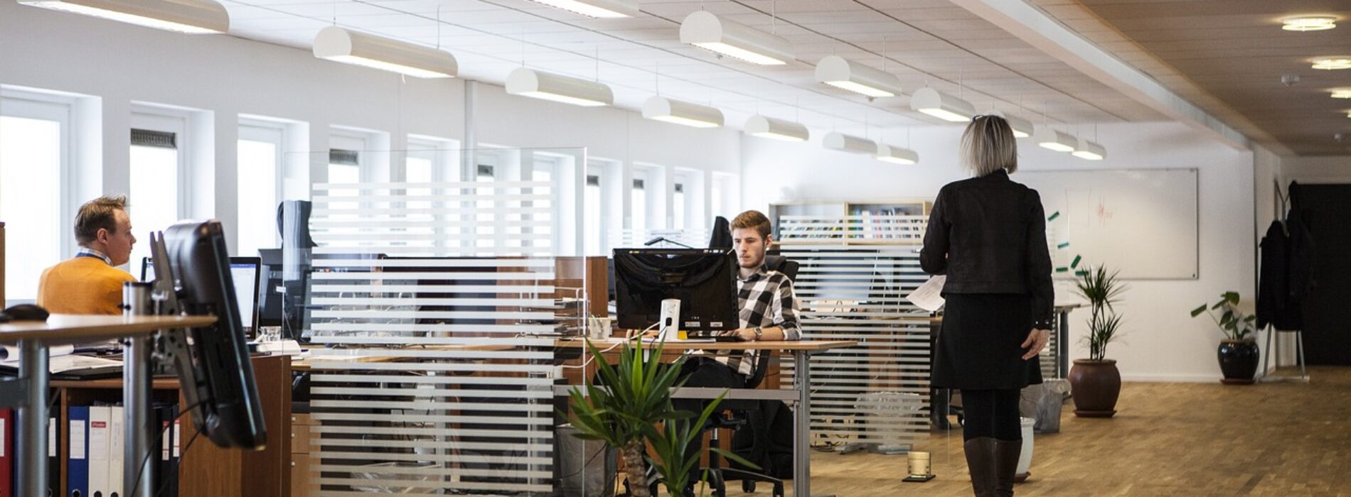 Pracodawcy inwestują w biura, by ściągnąć pracowników z pracy zdalnej. Atrakcyjna przestrzeń i lokalizacja mogą w tym pomóc